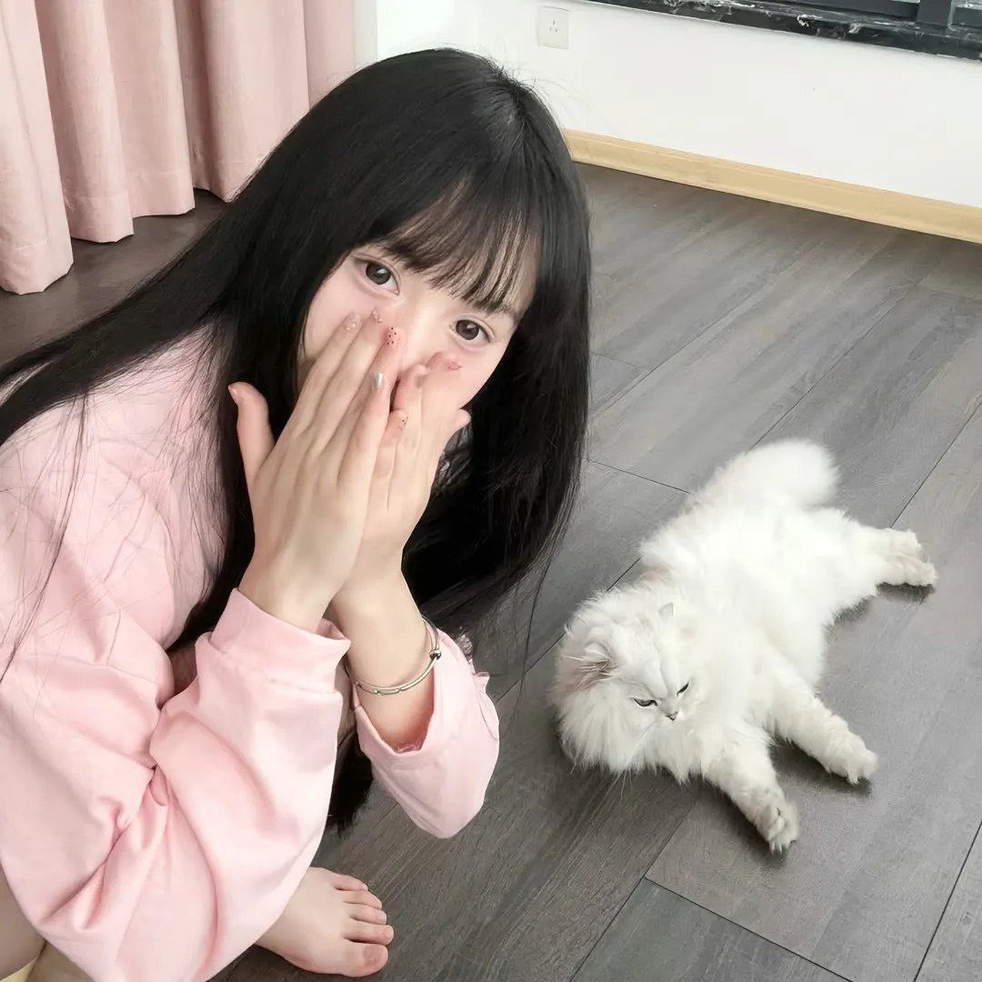 女作家与谋杀案第十季
